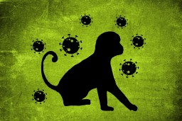 monkey virus